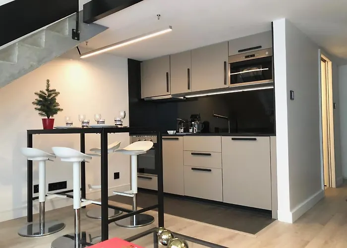 B4 Loft Duplex 175blo-paris Convention アパート